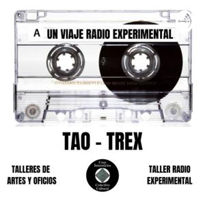 Un Viaje Radio Experimental