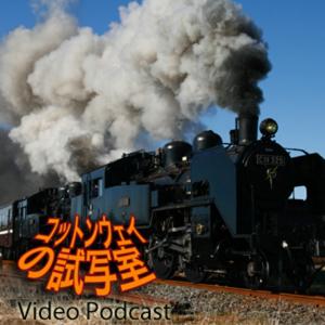 コットンウェイの試写室