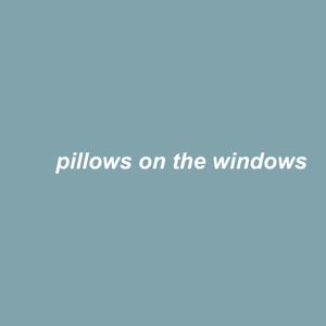 Pillows on the Windows