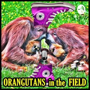 Orangutans in the Field