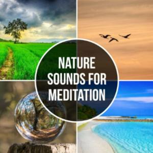 Nature Sounds