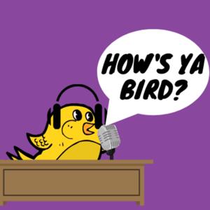 How's Ya Bird 
Sports Podcast