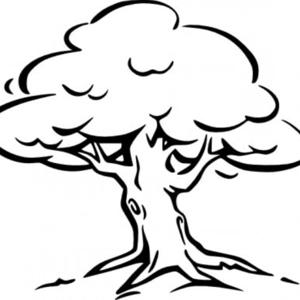 Man under a tree with a Bible