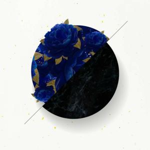 Music Box Collection