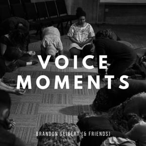 Voice Moments