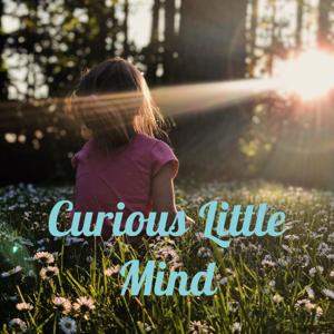 Curious Little Mind