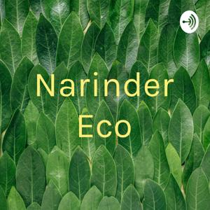 Narinder Eco