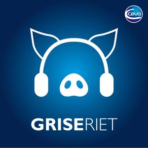 Griseriet