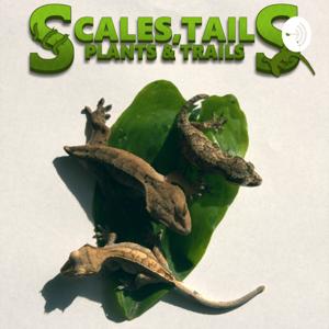 Scales, tails, plants and trails