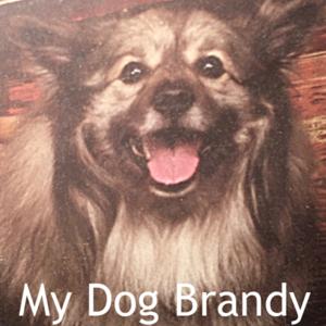 My Dog Brandy