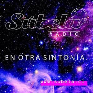 Audífonos de Lujo