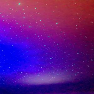 Read Between The Lies