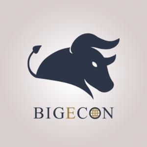 BIGECON 站在巨人肩膀看世界經濟 by BIGECON