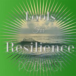 Tools for Resilience