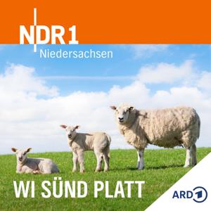 Wi sünd Platt