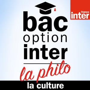 Bac Philo Option Inter - la Culture