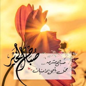 نوف سلطان توك شو