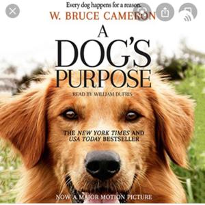 A dogs purpose