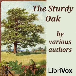 Sturdy Oak, The by Various