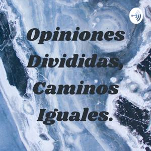 Opiniones Divididas, Caminos Iguales.