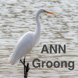 Armenian News Network - Groong: Week In Review Podcast by Armenian News Network / Groong