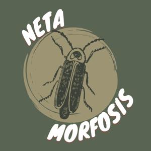 Netamorfosis