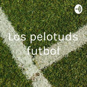 pelotudøws futbol