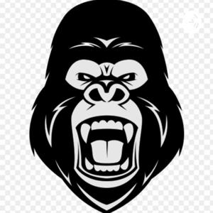 APE Podcast