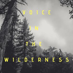 Voice in the Wilderness