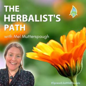 The Herbalist's Path by Mel Mutterspaugh