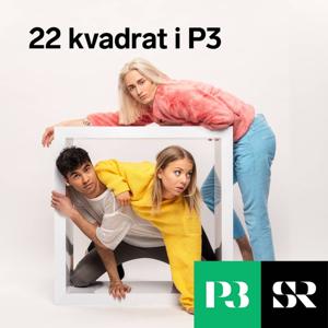 22 Kvadrat i P3