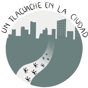 Un Tlacuache en la Ciudad