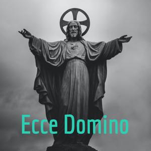 Ecce Domino