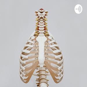 Support As A function Of The Skeleton
