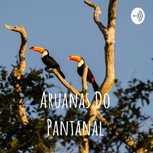 Aruanas Do Pantanal