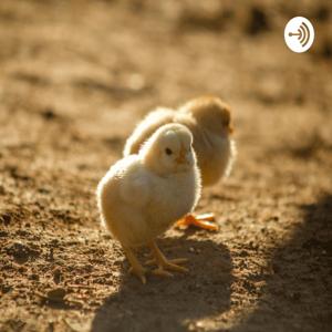 Reproduction, The Perfect Natural Means Of Maintaining Existence