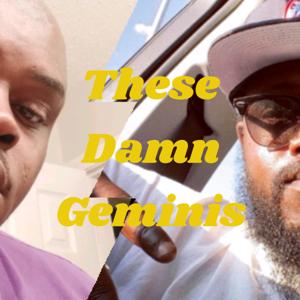These Damn Geminis