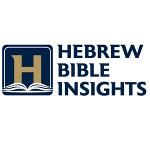 Hebrew Bible Insights by Matthew Delaney