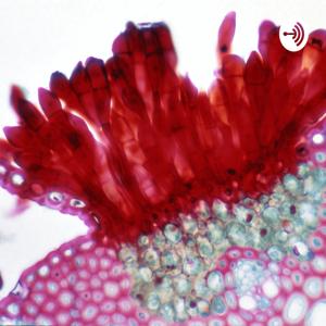 The Tactic Movement Of Organisms in Response To Stimulus
