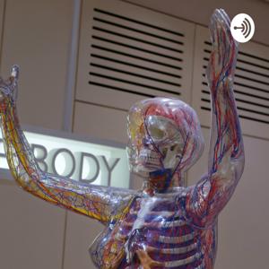 Skeleton And Supporting Systems in Animals