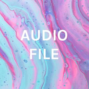 AUDIO FILE
