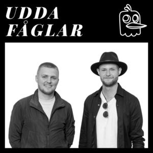 Udda Fåglar