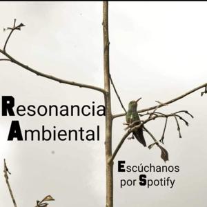 Resonancia ambiental