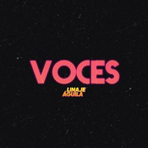 Voces
