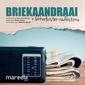 Briekaandraai