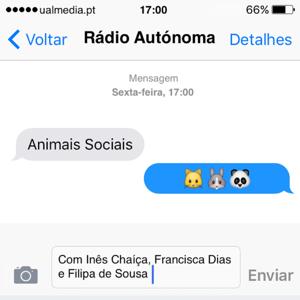 Animais Sociais