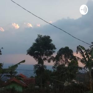 BELIA Podcast