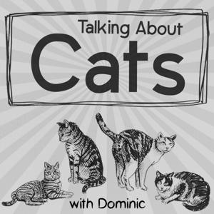 Talking About Cats