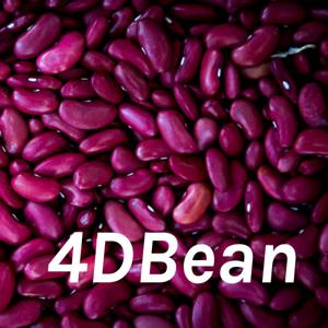 4DBean