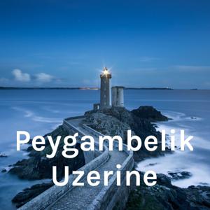 Peygambelik Uzerine